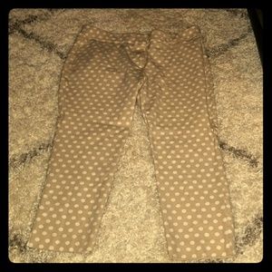 Polka Dot Capri Pants New York & Company Size 16